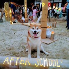 小中学習塾【38200】の画像