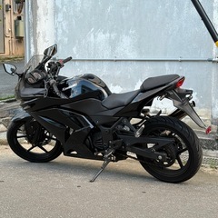 【登録費込み】カワサキ・ニンジャ２５０の画像
