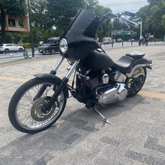  2010年 FXSTC ハーレーダビッドソン1580 ソフテイルカスタム　検８年1月　HARLEY DAVIDSON 【 東京新宿区発】の画像