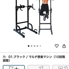 STEADY懸垂マシンの画像