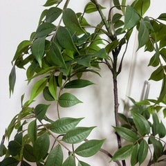 フェイクグリーン 観葉植物の画像