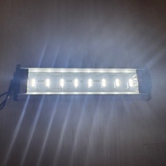 GEX CLEAR LED POWER Ⅲ30cmの画像