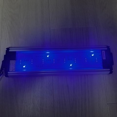 GEX CLEAR LED POWER Ⅲ30cmの画像