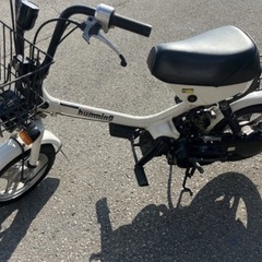 HONDAハミングG50 昭和旧車の画像