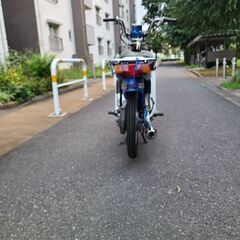 バーディー　50の画像