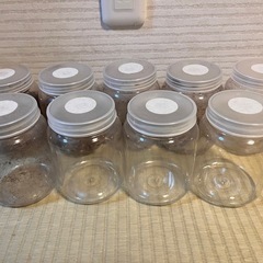 【まとめ売り】カブトムシとクワガタセットの画像