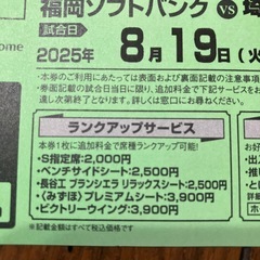 8／19（火）福岡ソフトバンクVS埼玉西武　2枚の画像