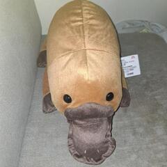 カモノハシ　ぬいぐるみの画像