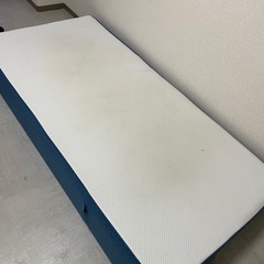 コアラマットレスの画像
