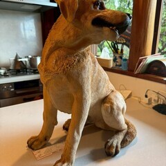 本物そっくり！/陶製犬の置物（ラブラドールレトリバー）/無料!!の画像