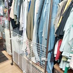 レディース夏服処分の画像