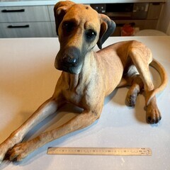 本物そっくり！/陶製犬の置物（グレートデーン）/無料!!の画像