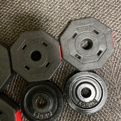　ダンベル重りのみ
の画像