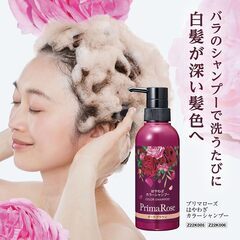 未使用　1本5役 / 白髪ケア 詰め替え付き はやわざカラーシャンプー 300mlの画像