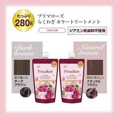 未使用　1本5役 / 白髪ケア 詰め替え付き はやわざカラーシャンプー 300mlの画像