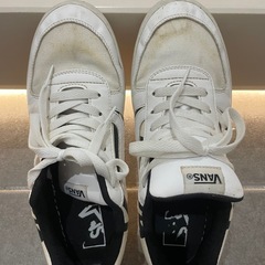 VANSスニーカー26.0cmの画像