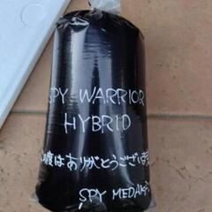 種親SPY  HYBRD トリオ　6000円　本家血統の画像