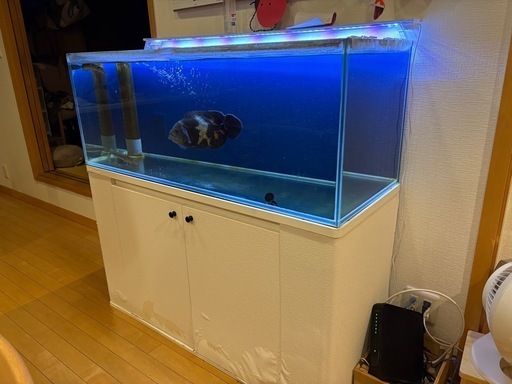 水槽セット　オーバーフロー　、オスカー
