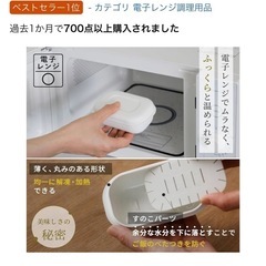 冷凍ご飯容器10個の画像