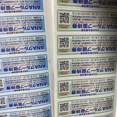 飛行機　株主優待　4枚の画像