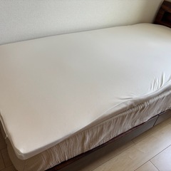 トゥルースリーパーの画像