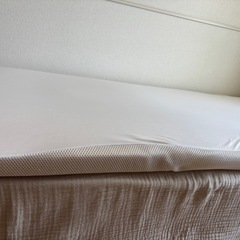 トゥルースリーパーの画像