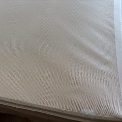 トゥルースリーパーの画像