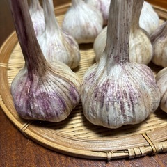 赤ニンニクの画像
