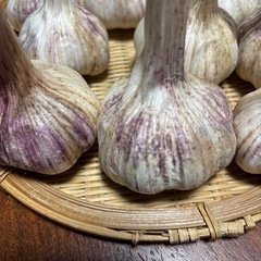 赤ニンニクの画像