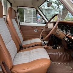 Sunny datsun の画像