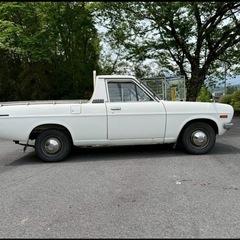 Sunny datsun の画像