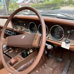 Sunny datsun の画像