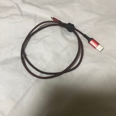 USB Type-Cケーブル 100cmの画像