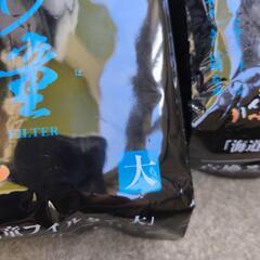 街道河童　フィルター大　7枚の画像