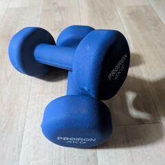 PROIRON ダンベル 4kg × 2個 / PROIRON Dumbbell 4kg × 2の画像