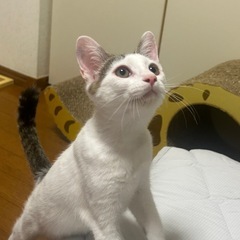 生後3ヶ月半の男の子