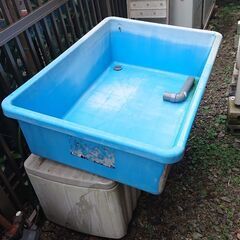 メダカ プラ池の画像