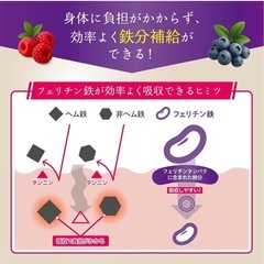 【2袋】鉄分+マルチビタミンサプリメントの画像