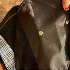 ほぼ新品⭐︎1時間のみ使用ペット用キャリーバッグの画像