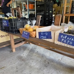 葡萄　ぶどう　梨　加工用　などなど！！の画像