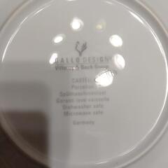 GALLO DESIGN Villeroy& Bochプレートの画像