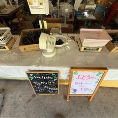 葡萄　ぶどう　梨　加工用　などなど！！の画像