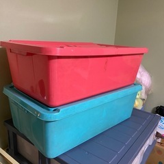 カラー衣装ケースの画像