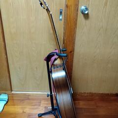アコースティックギター　Taylor / 114ce-Walnutの画像