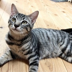 フレンドリーなおっとりくん