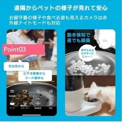 自動給餌器(小型犬〜猫、郵送不可)の画像