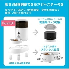 自動給餌器(小型犬〜猫、郵送不可)の画像