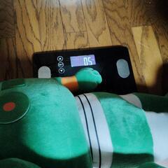 クレヨンしんちゃんガンダムロボぬいぐるみの画像