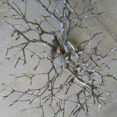 枯れ木のオブジェー２の画像