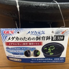 メダカ 屋外飼育セット　　メダカ鉢・ホテイ草・カルキ抜きの画像